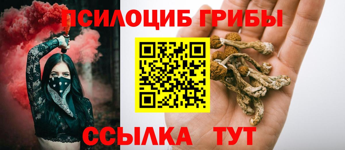 где купить наркоту  Галлюциногенные грибы Magic Shrooms  Псилоцибиновые грибы Psilocybe  Вход с VPN  Белореченск 